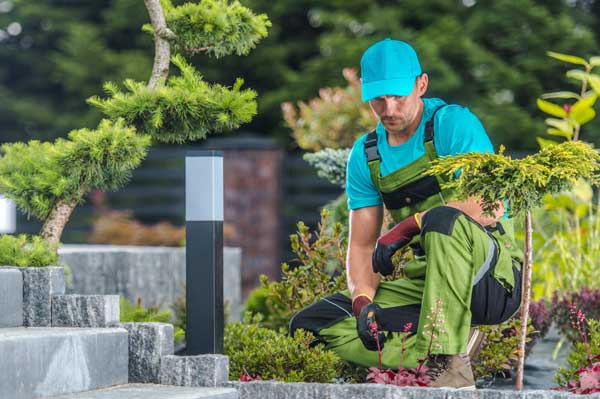 création site internet paysagiste